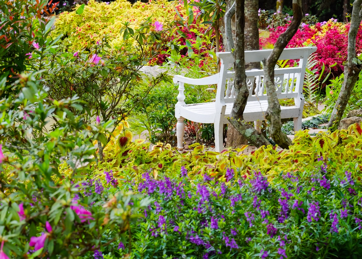 Surrey Garden or Landscape Designer Image for Natural Garden Design Surrey - Best Website Builder, Simple Website, , easy website, Free Website, New Company, No Coding Website, New Website, Free Website, Company Website, Easy Website, Tec-Nut.com Websites
